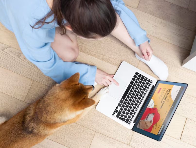 12 Popular Internet Terms Explained with Daily Life Examples Like Pet Food